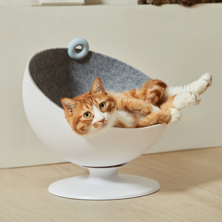 Boss cat bed