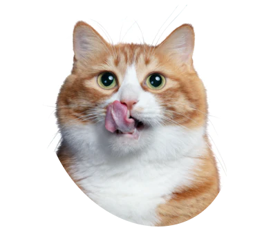 Nacho