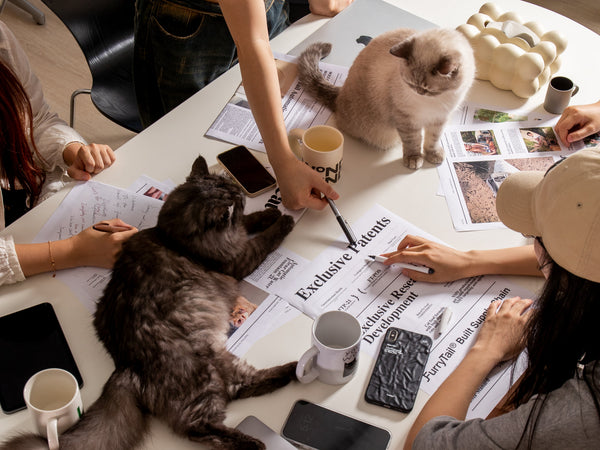 Cat Dad Gifts for Father's Day: 6 Picks He'll Actually Use