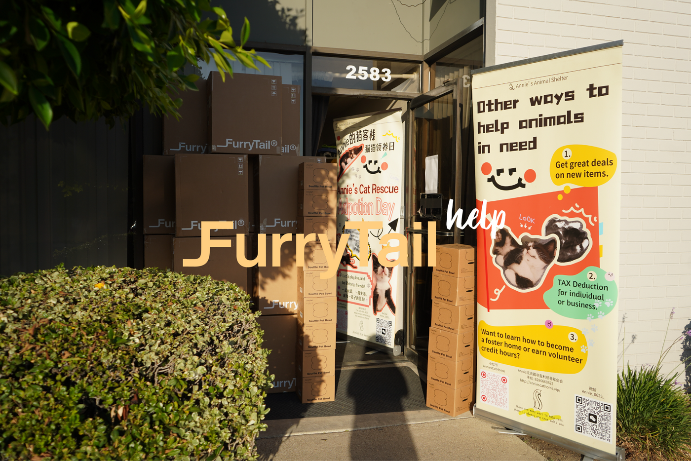 FurryTail Stocked an Entire Cat Shelter With Our Top Products