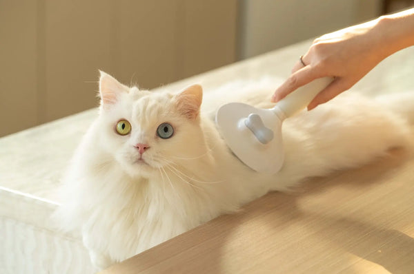 Q: Gemini, how do you keep your white coat pristine?