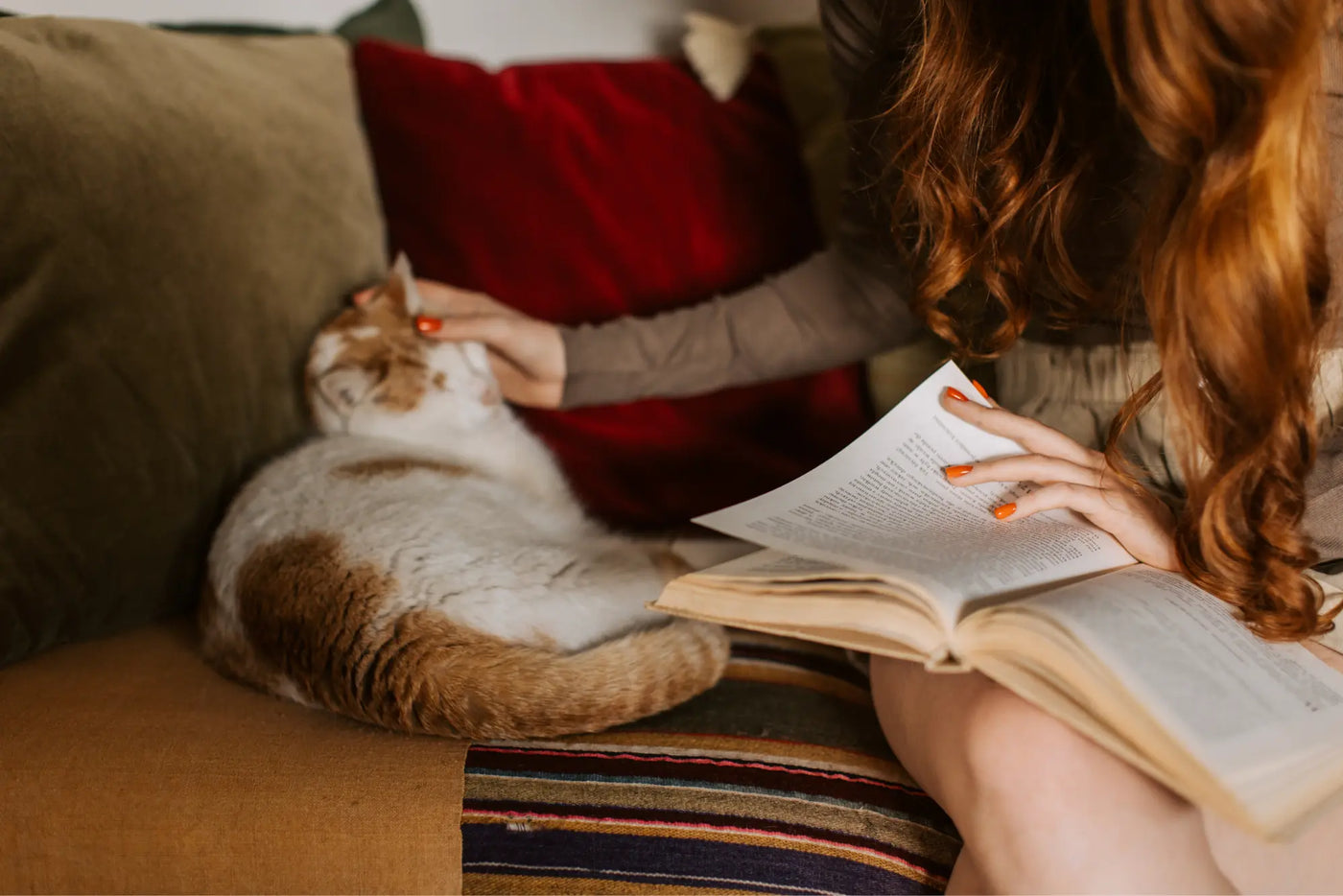 9 Tell-Tail Signs You Are a Cat Lady
