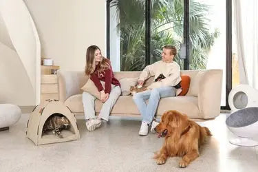 Shop-All Furrytailpet