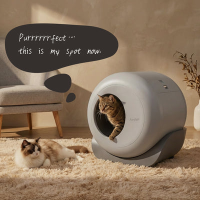 Automatic Litter Box Pro