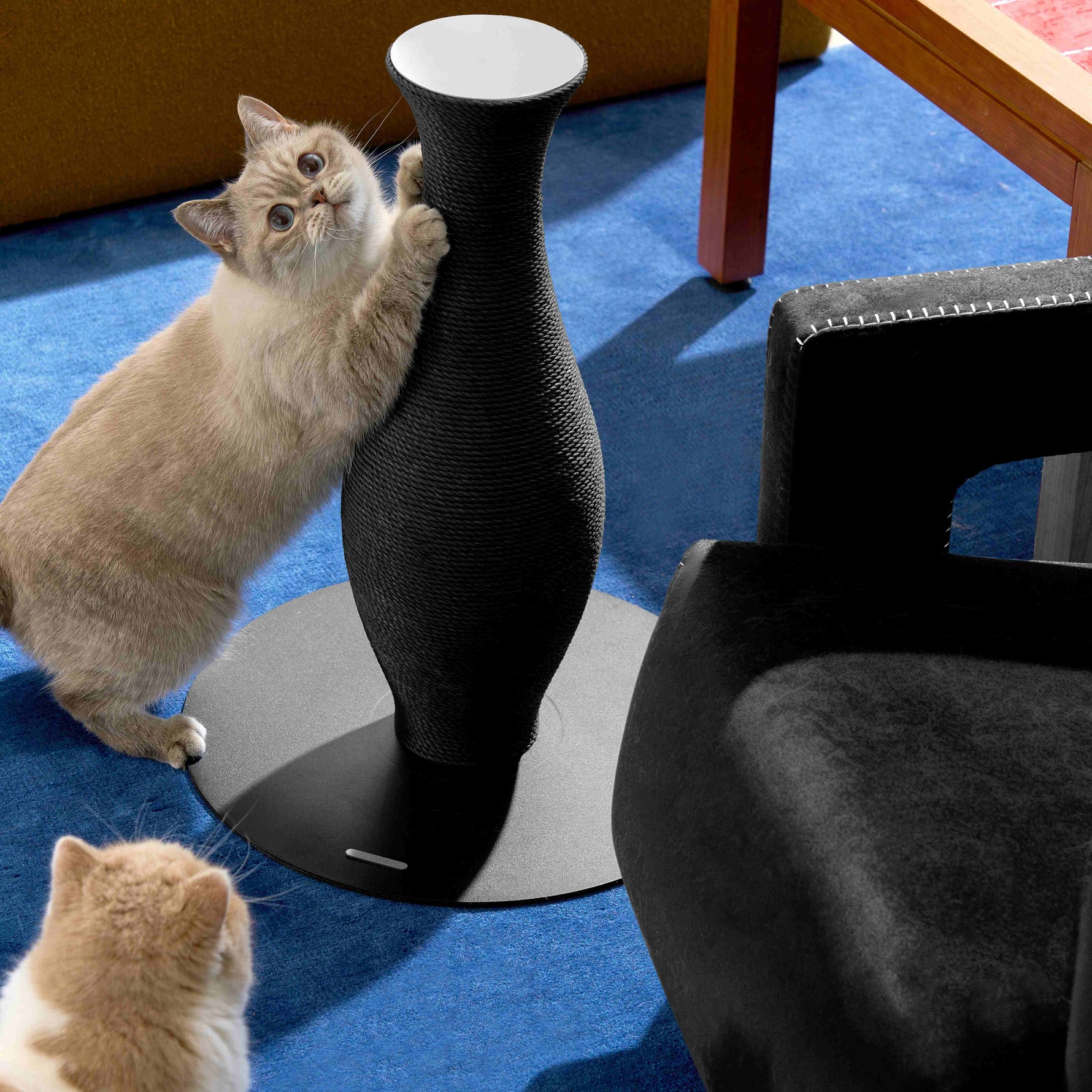 Neck Vase Scratcher Black