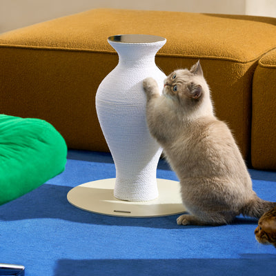Belly Vase Scratcher|White