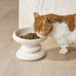 Fresh_Cream_3