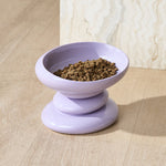 Catnip_Flower_2