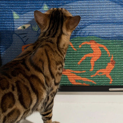 Peeping Tomcat