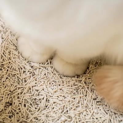 FurryTail Mixed Cat Litter FurryTail