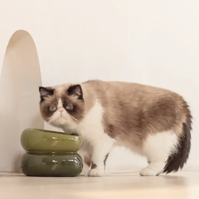 Avocado Green