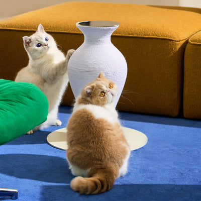 Belly Vase Scratcher|White