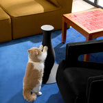 Neck Vase Scratcher Black