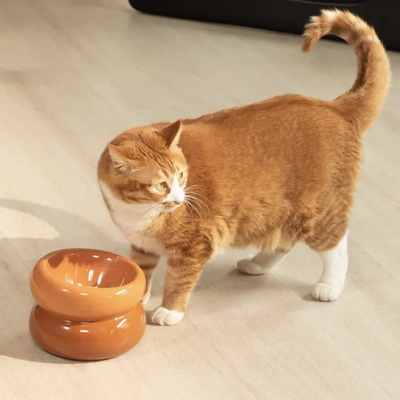 Amber Orange