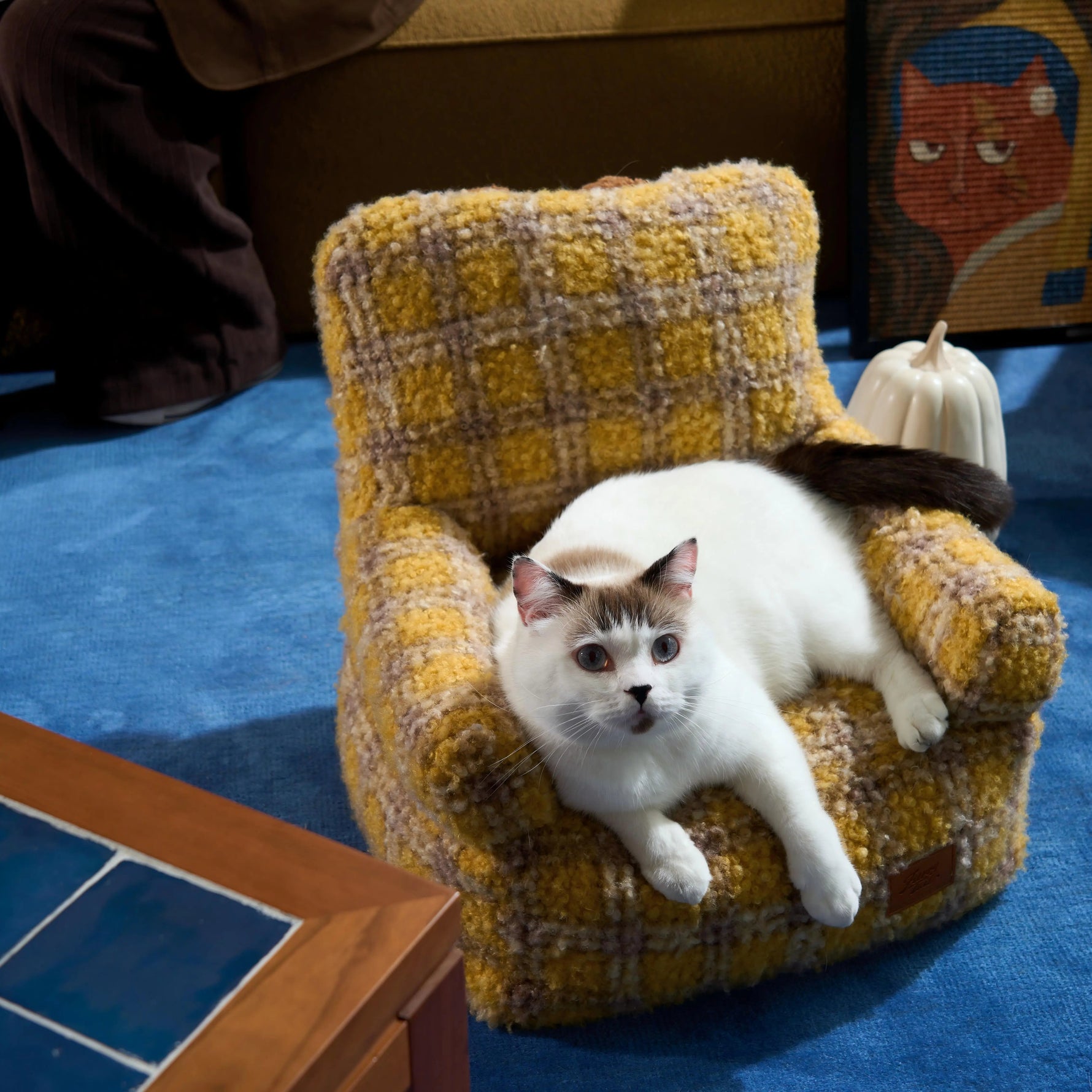 Your GrandMeow’s Sofa furrytailpet