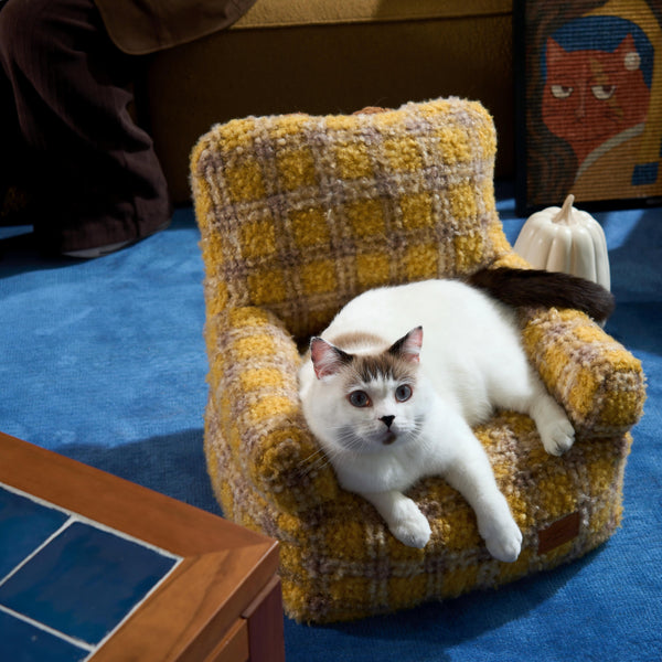 Your GrandMeow’s Sofa