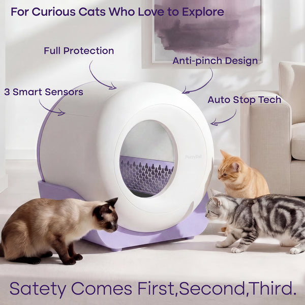 Poop & Scoop Litter Boxes & Cleaning Solutions for Cats  Furrytailpet