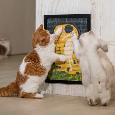 Kiss Me Feed Me