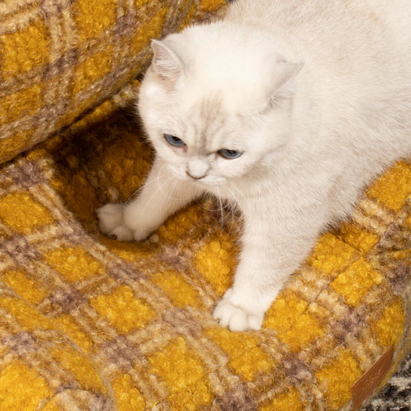 Your GrandMeow’s Sofa