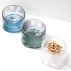 2-in-1 Elevated Glass Cat Bowl