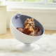 Boss cat bed