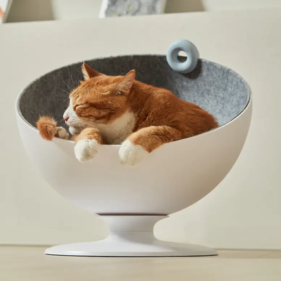 Boss cat bed