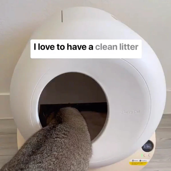 I love to have a clean litter box every time I need to go