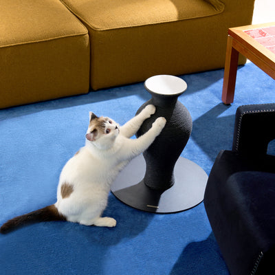 Belly Vase Scratcher|Black