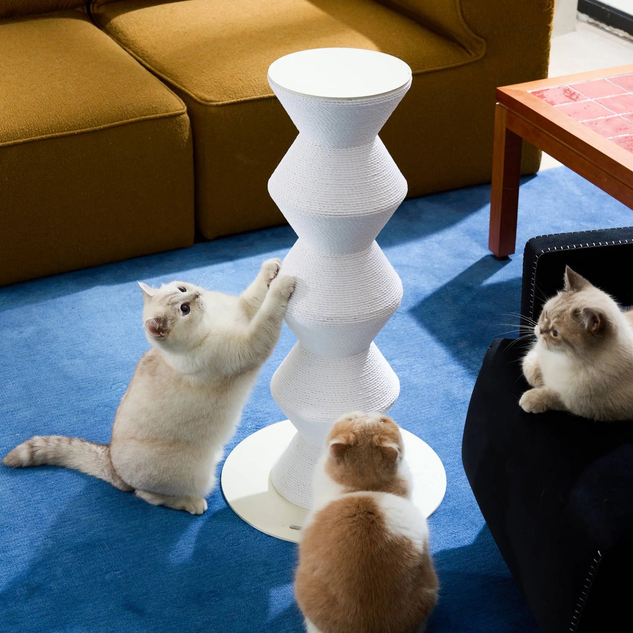 Colossal Zigzag Clawer- FurryTail's vertical cat scratcher