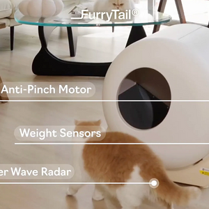 The Scoop on Automatic Litter Boxes & Safety
