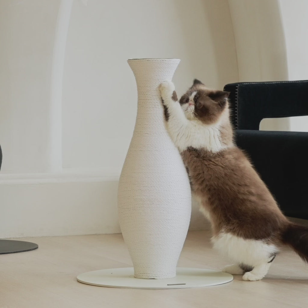 Neck Vase Scratcher White