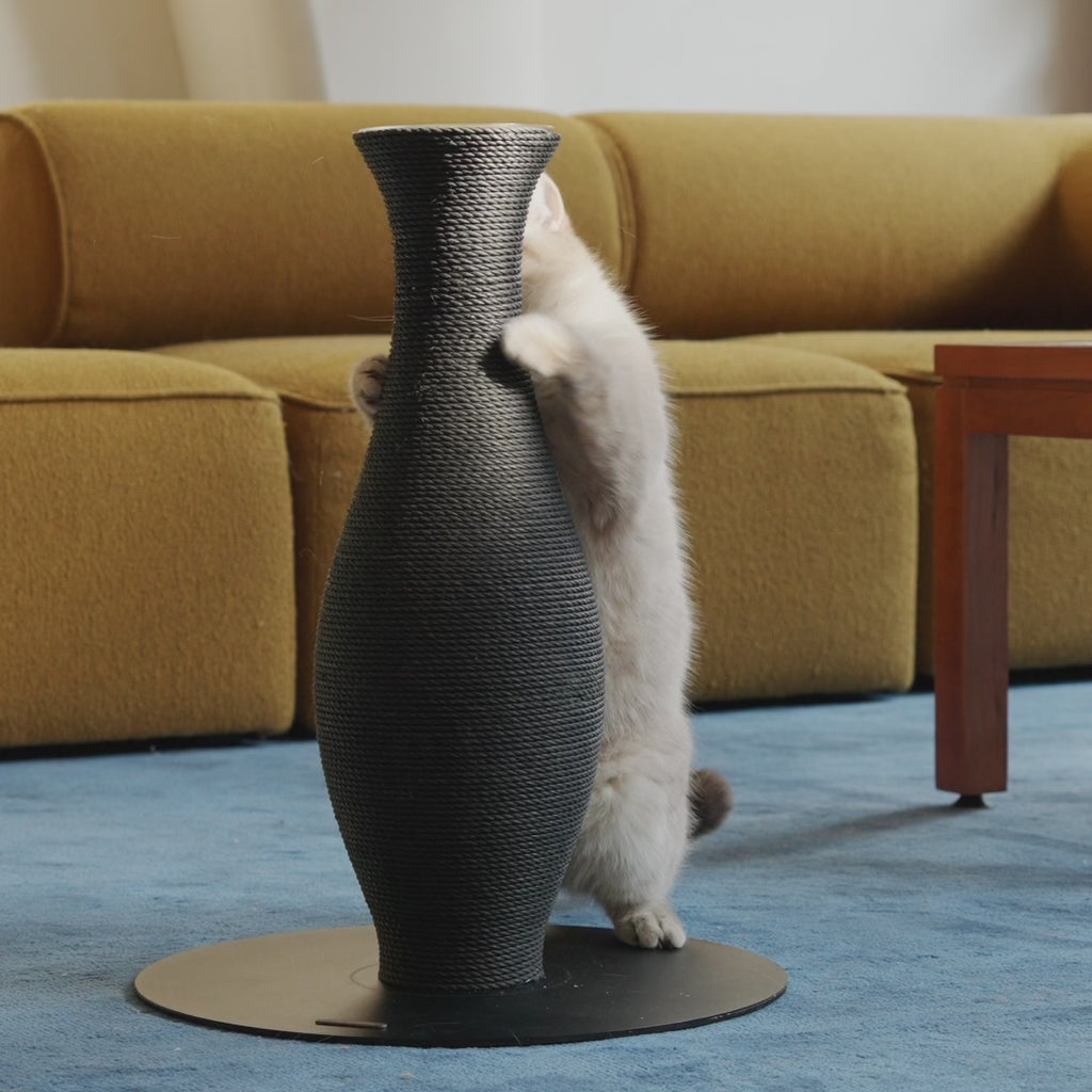 Neck Vase Scratcher Black