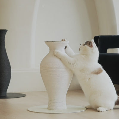 Belly Vase Scratcher|White