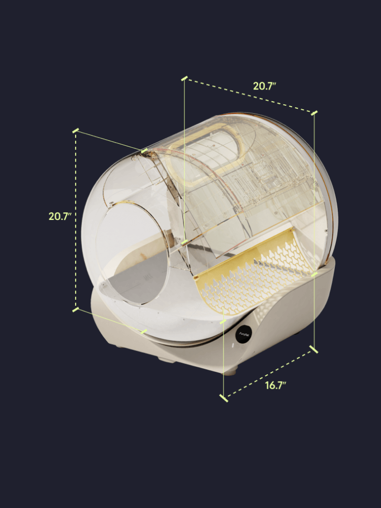 Spacious Interior Space